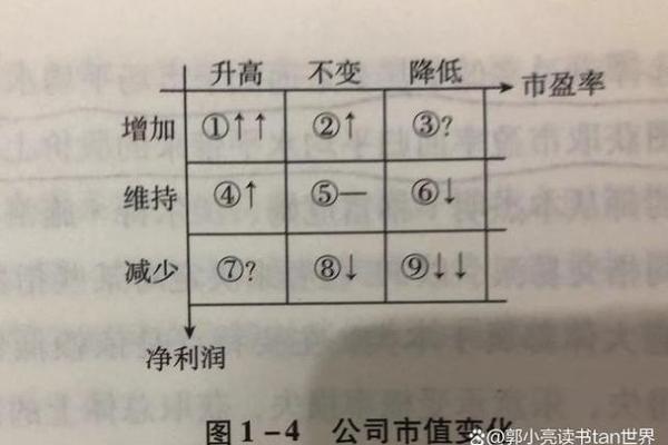 揭秘股票投资：新手如何轻松赚取收益